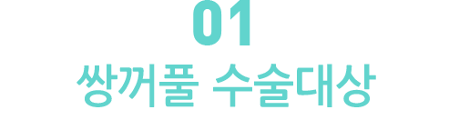 쌍꺼풀 수술 대상