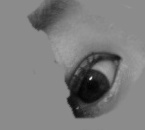 1_1323656596.jpg